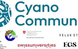 CyanoCommunity Is Getting a New Home Online!